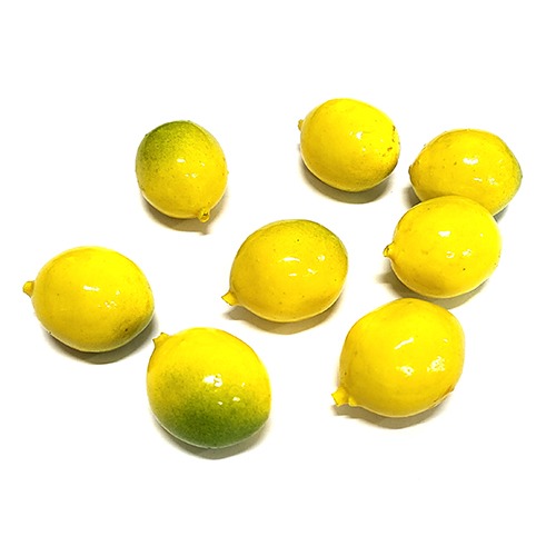 레몬 모형(3종)